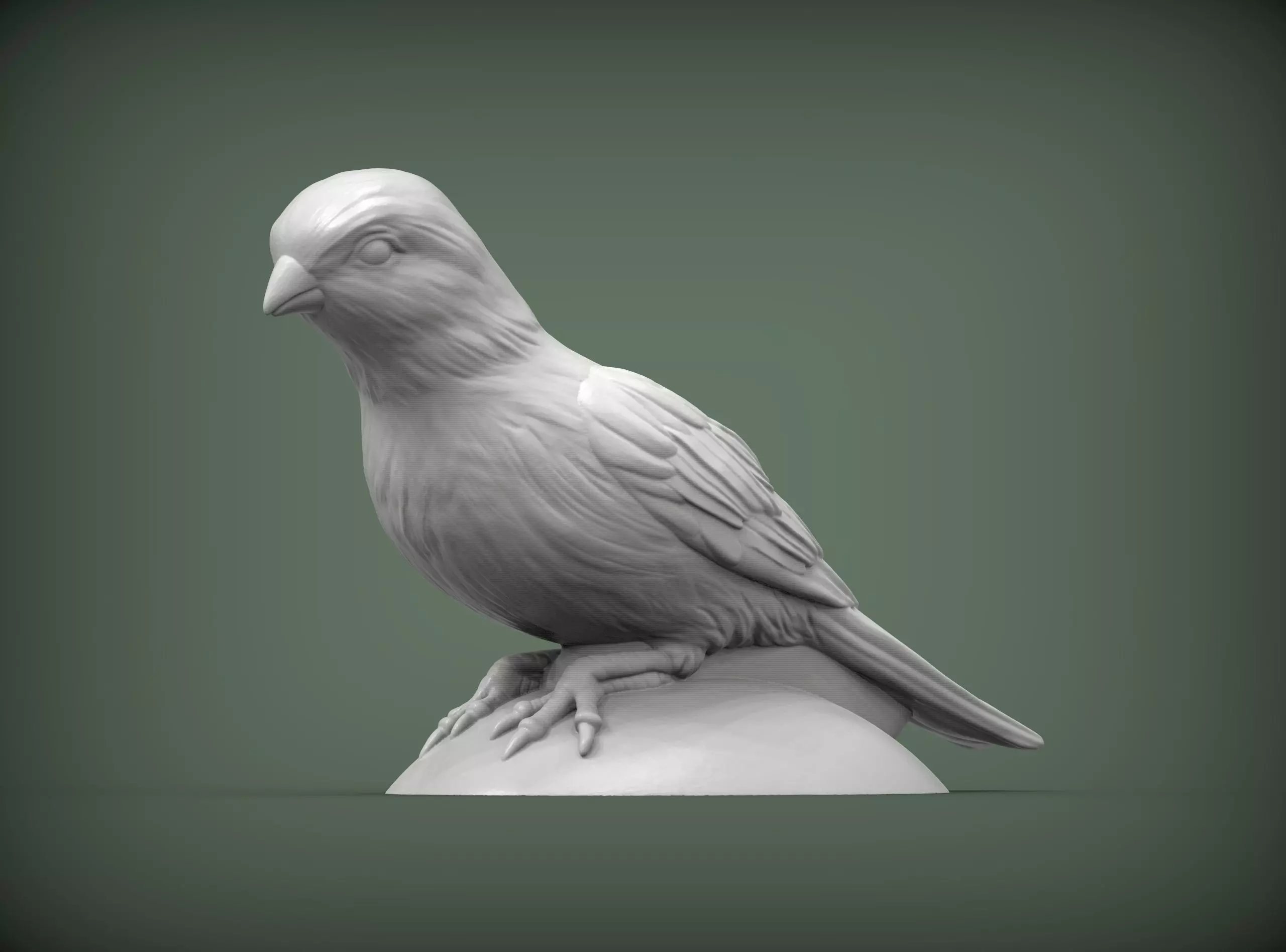 Canary bird perched 3D print model_0