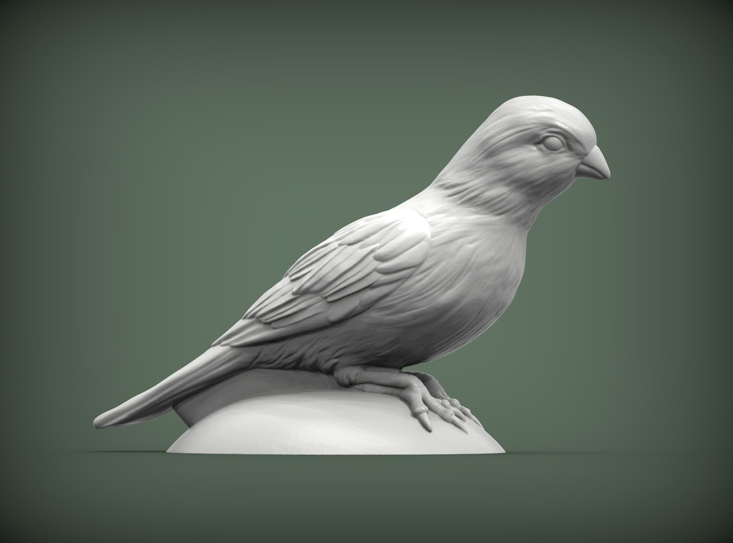 Canary bird perched 3D print model_1