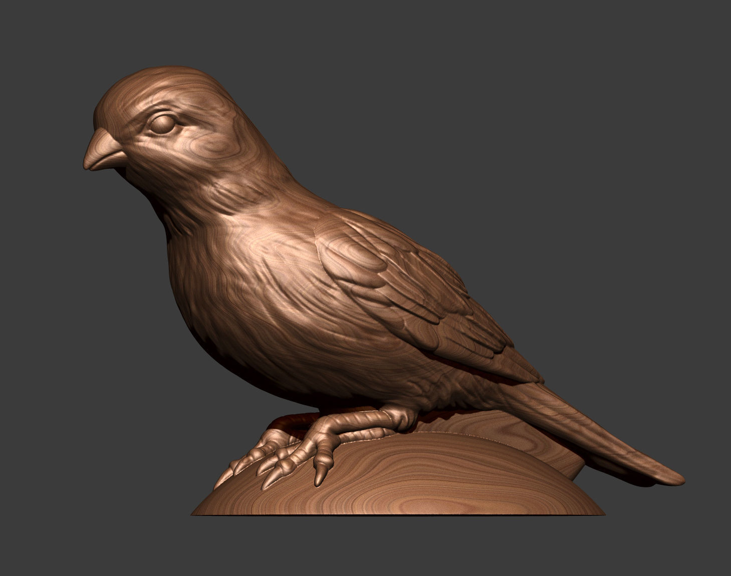 Canary bird perched 3D print model_4