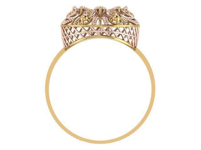 Ring With Full Worked 22 3D print model_2