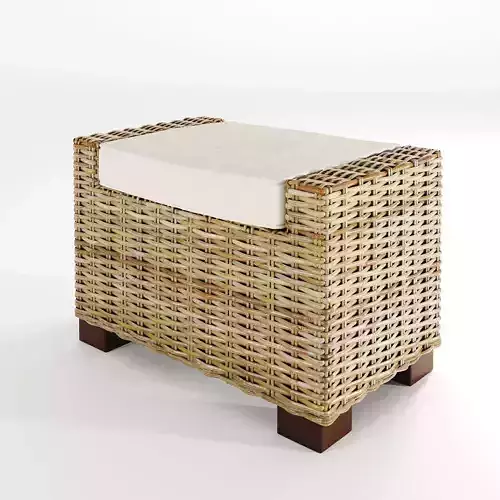 Rattan chair 2020