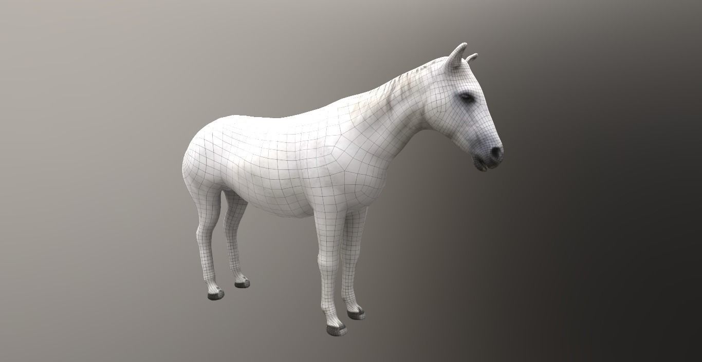 horse lowpoly 3D model_8