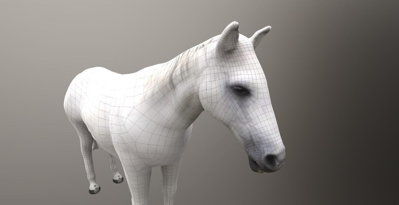 horse lowpoly 3D model_9