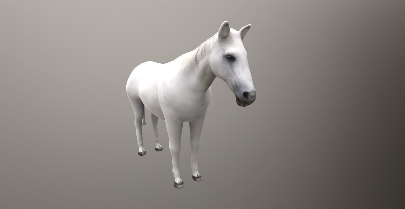 horse lowpoly 3D model_3