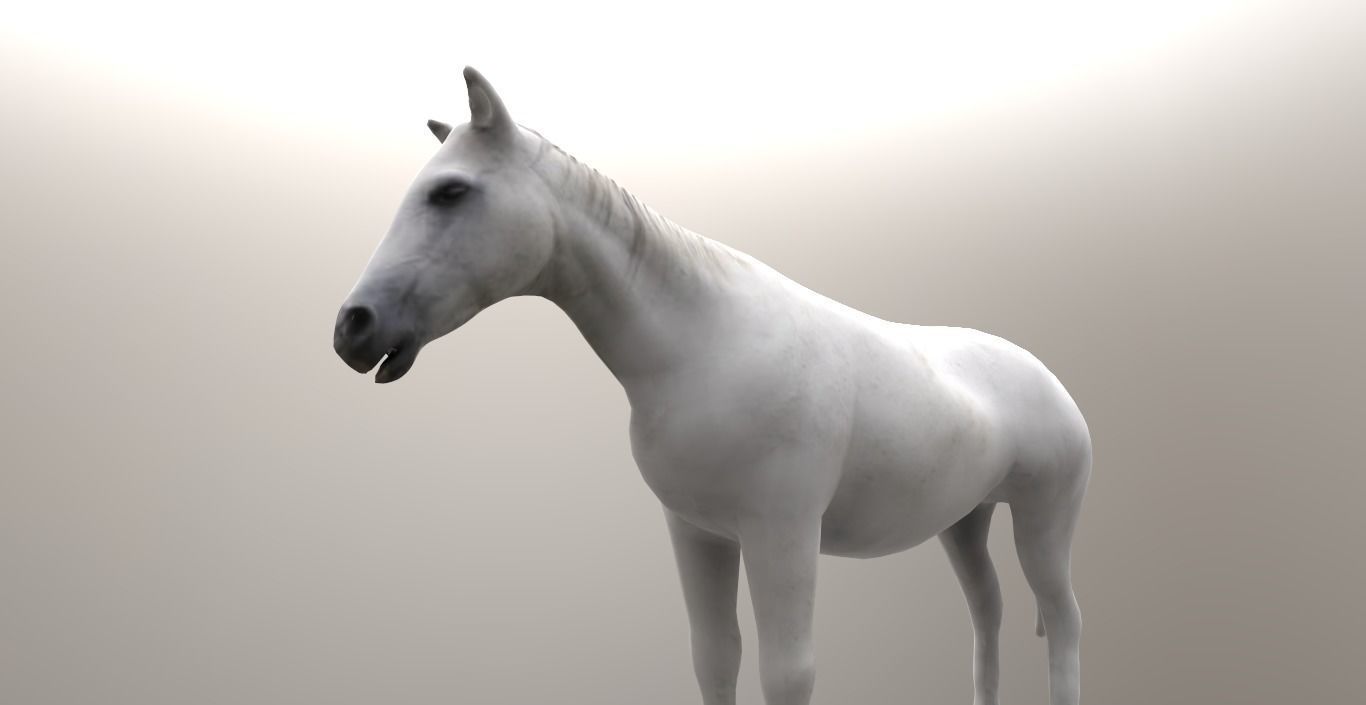 horse lowpoly 3D model_5