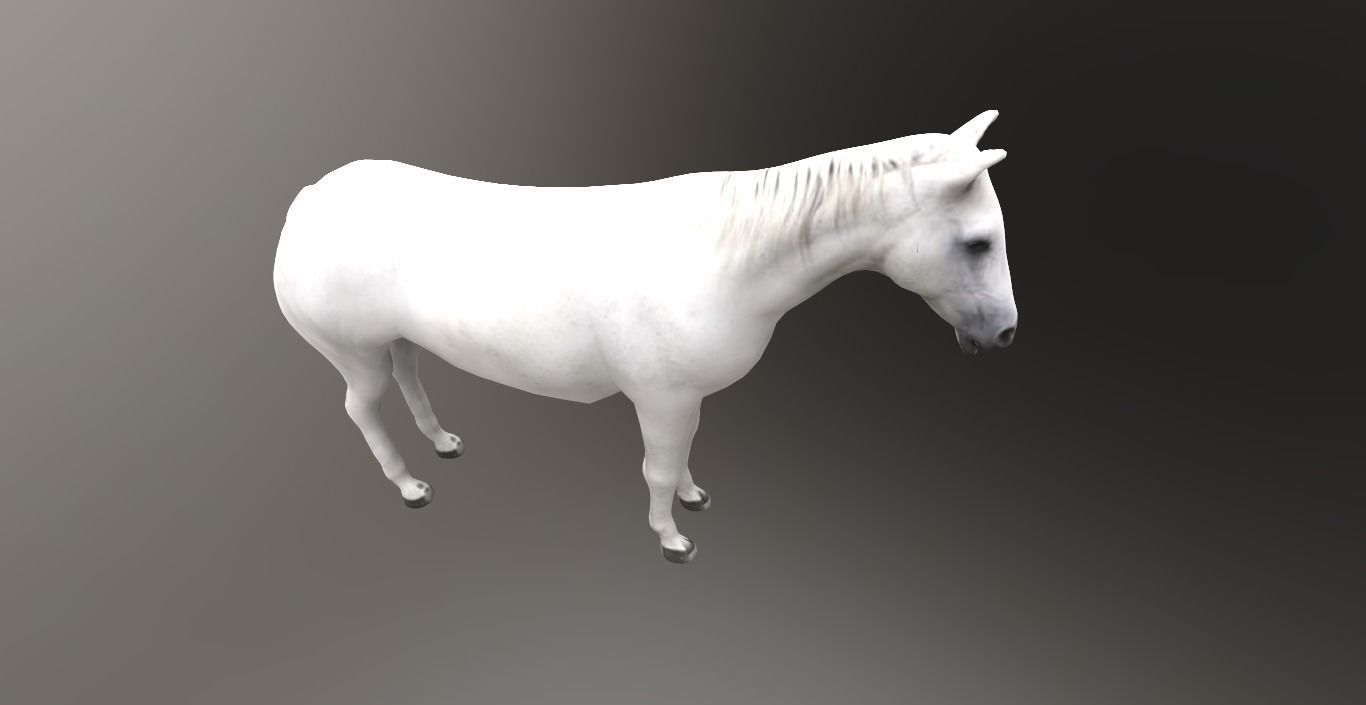horse lowpoly 3D model_12