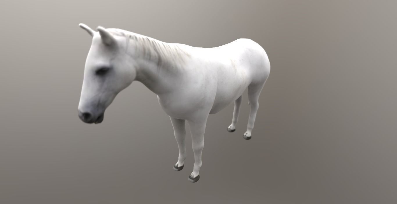 horse lowpoly 3D model_2