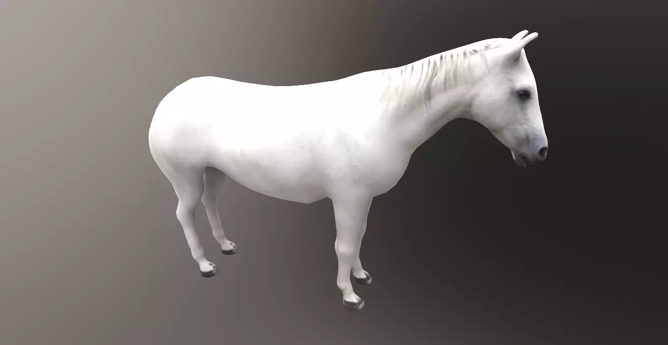 horse lowpoly 3D model_0