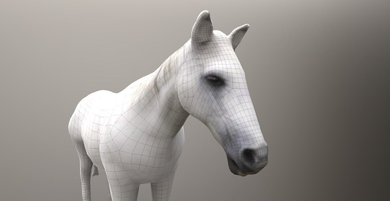 horse lowpoly 3D model_6
