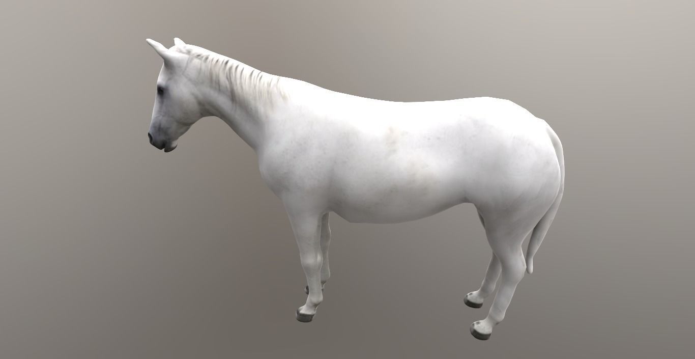 horse lowpoly 3D model_11