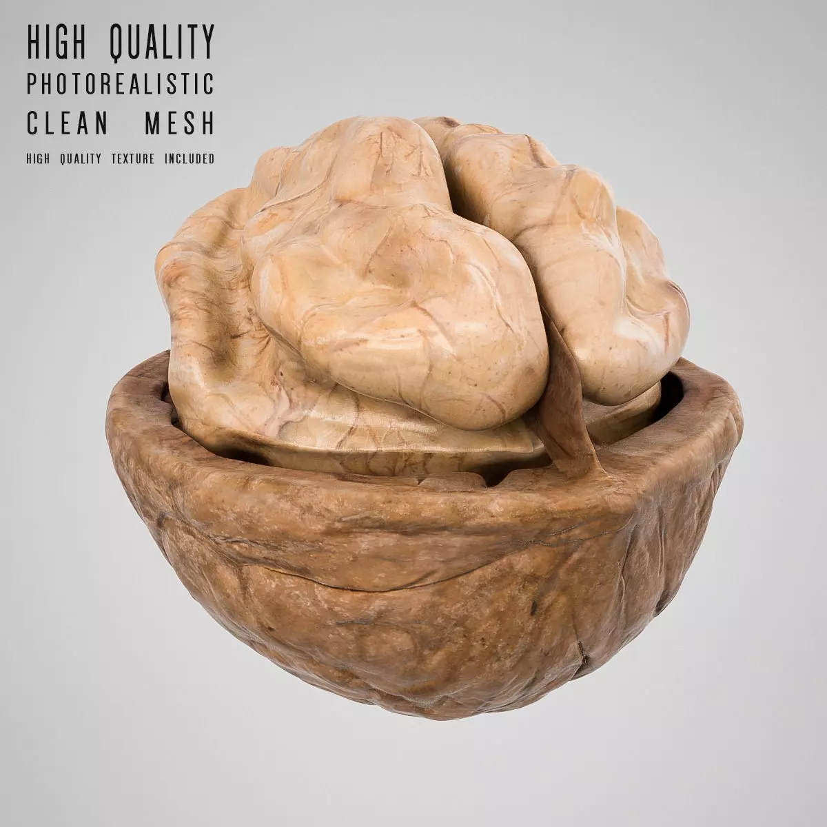 Walnut 3D model_0