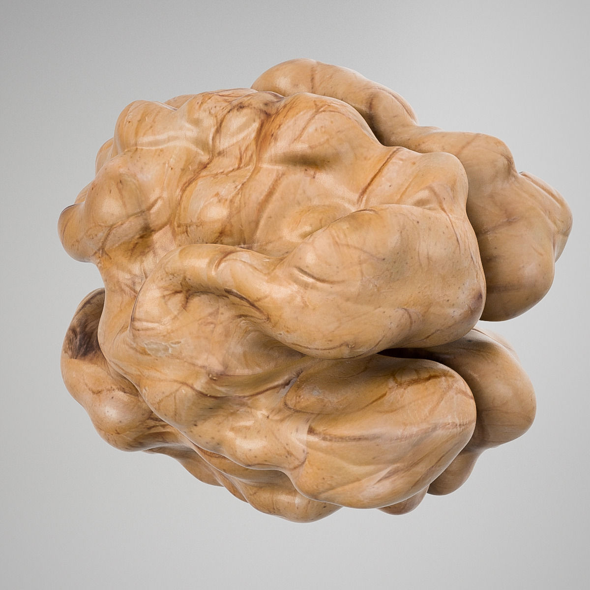 Walnut 3D model_2