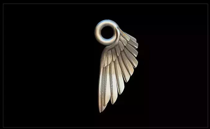 Wing charm