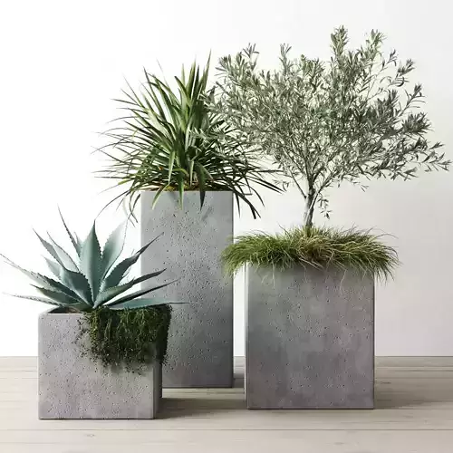 Outdoor Plants Set In Pottery Barn Planters 3D model