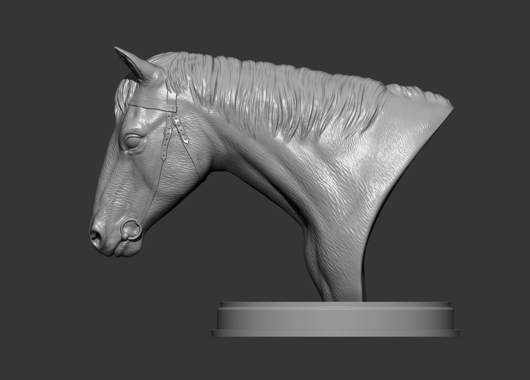 Horses head 3D print model 3D print model_6