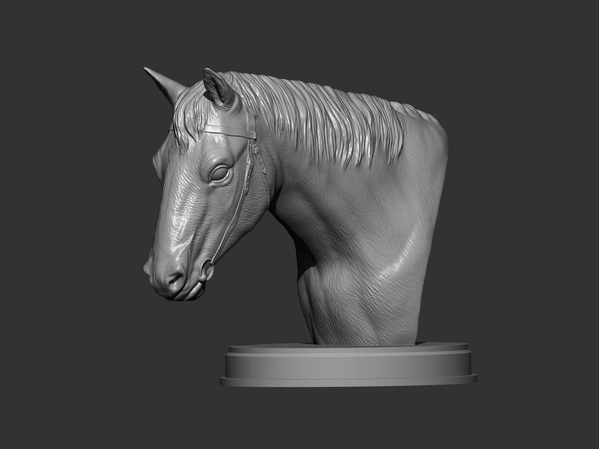 Horses head 3D print model 3D print model_7