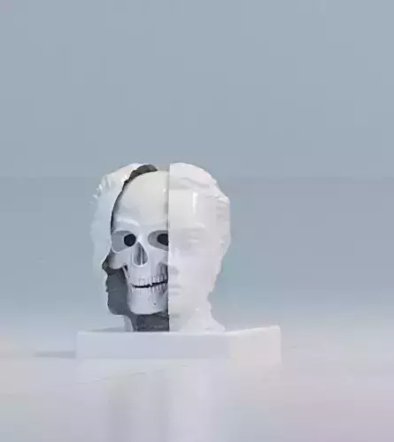 3D Sculpture skull