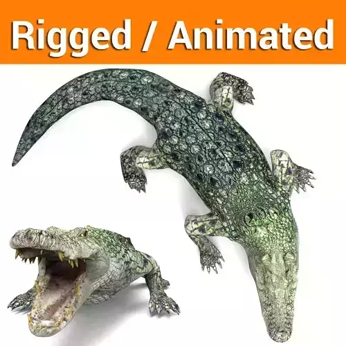 3D Crocodile rigged with animated  Low-poly 3D model