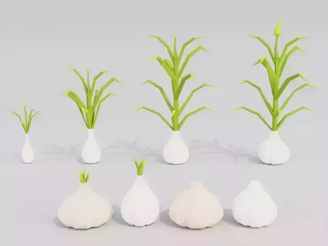 Low poly garlic