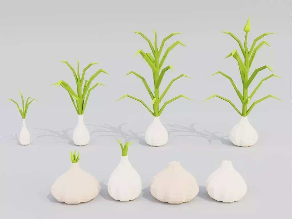 Low poly garlic Low-poly 3D model