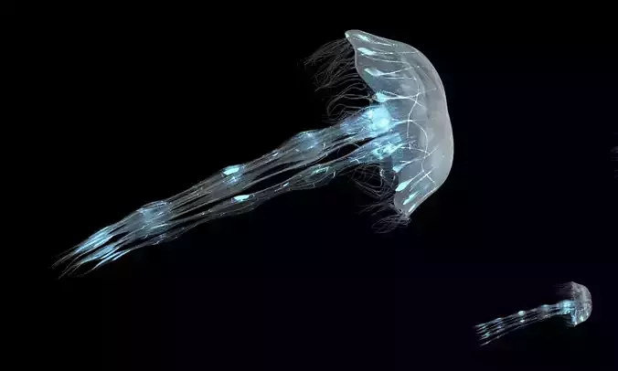 Procedural Jellyfish Animated 3D model 3D model