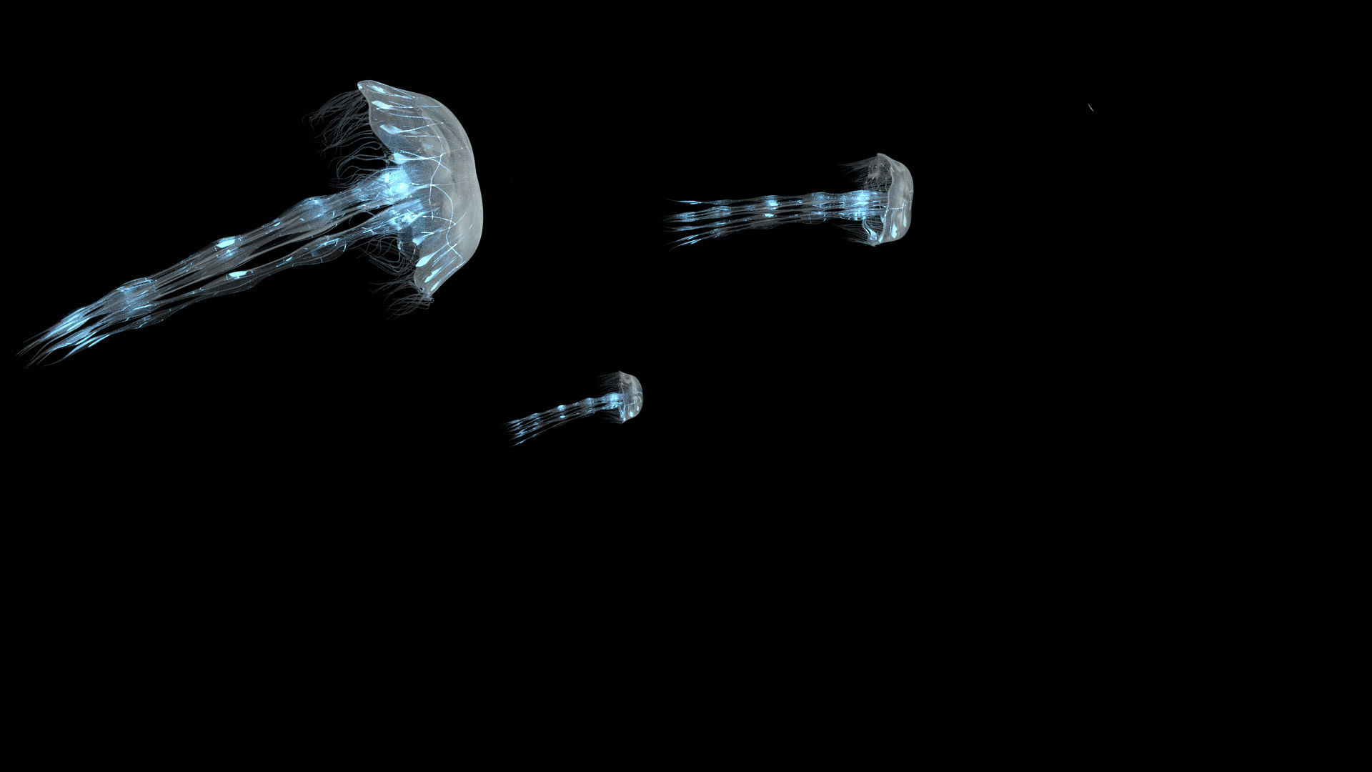 Procedural Jellyfish Animated 3D model 3D model_1