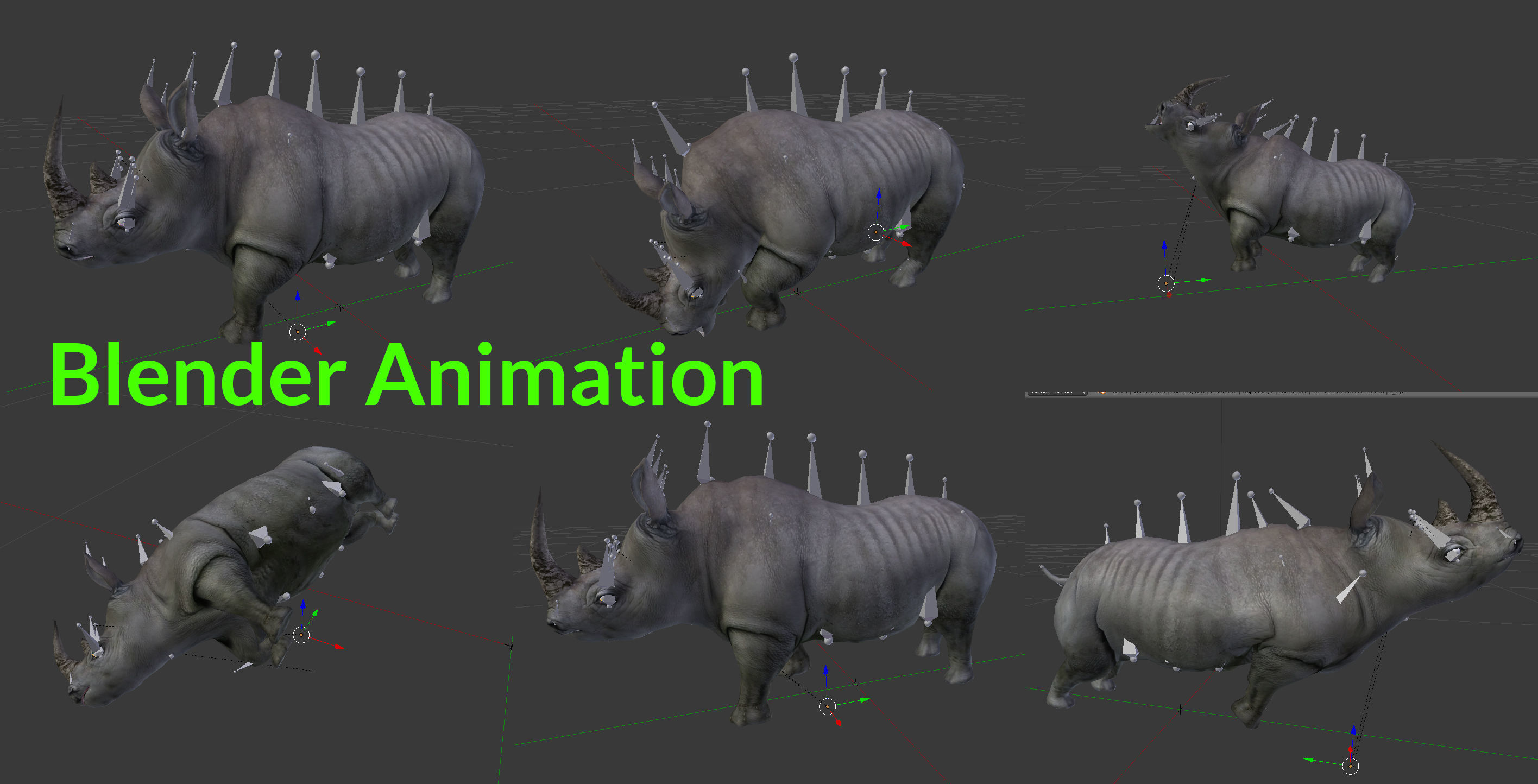 Rhino rigged Animated Rhinoceros realistic 3d Model Low-poly 3D model_13