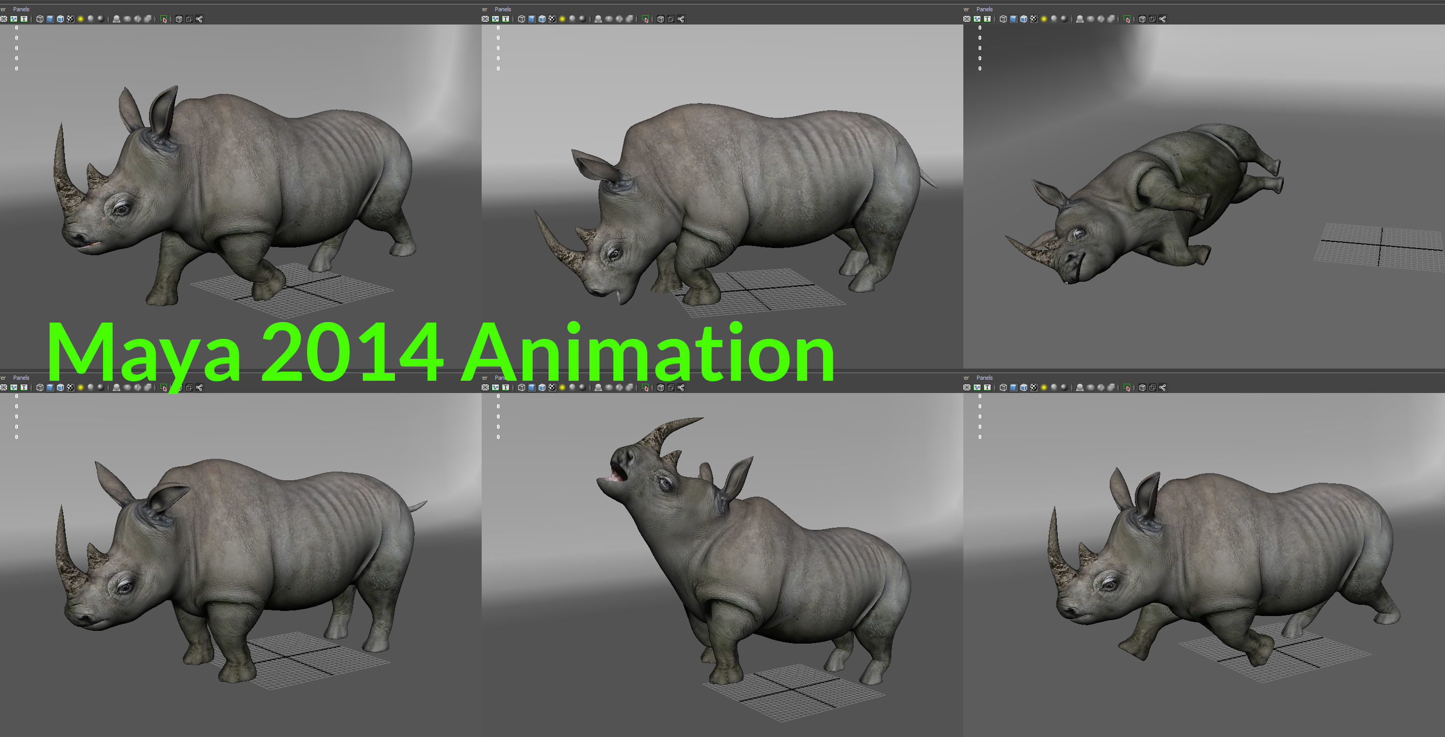 Rhino rigged Animated Rhinoceros realistic 3d Model Low-poly 3D model_19