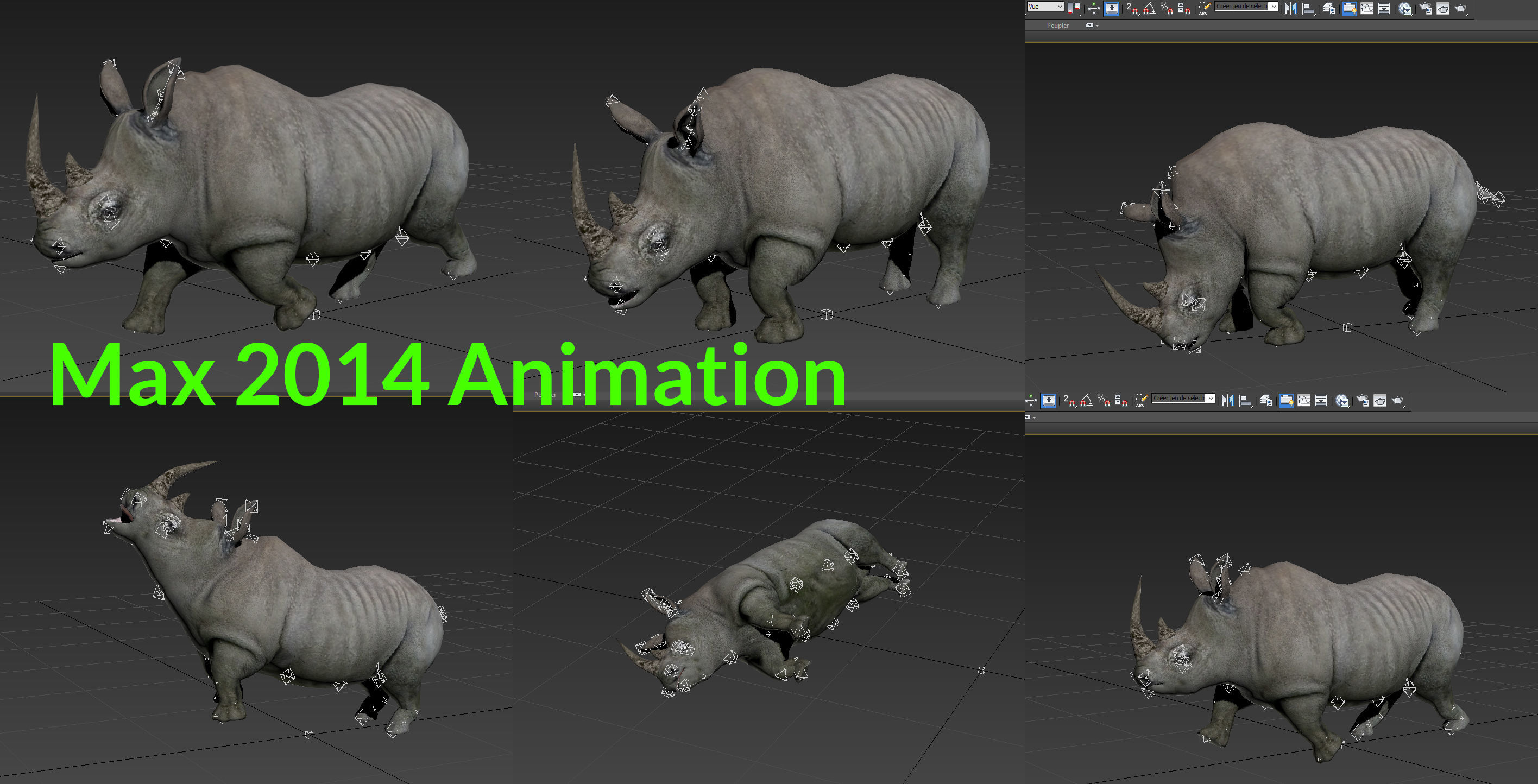 Rhino rigged Animated Rhinoceros realistic 3d Model Low-poly 3D model_18