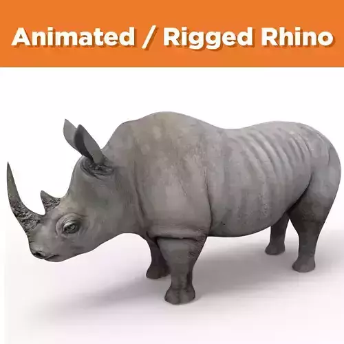 Rhino rigged Animated Rhinoceros realistic 3d Model Low-poly 3D model