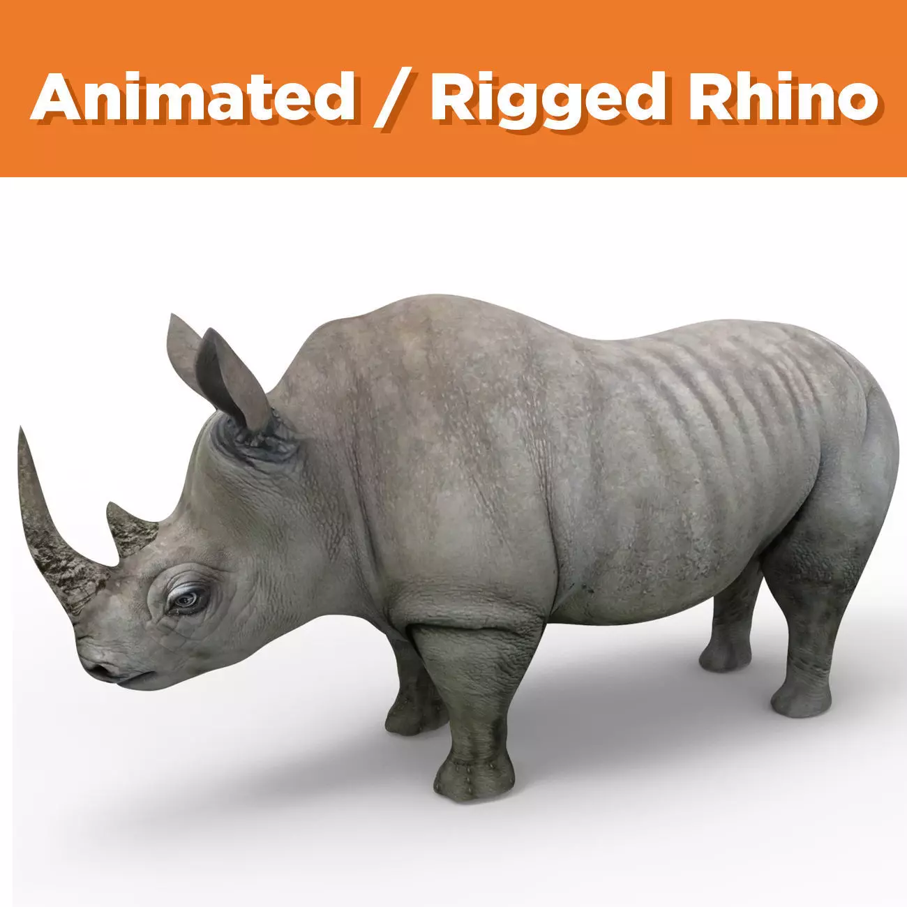 Rhino rigged Animated Rhinoceros realistic 3d Model Low-poly 3D model_0
