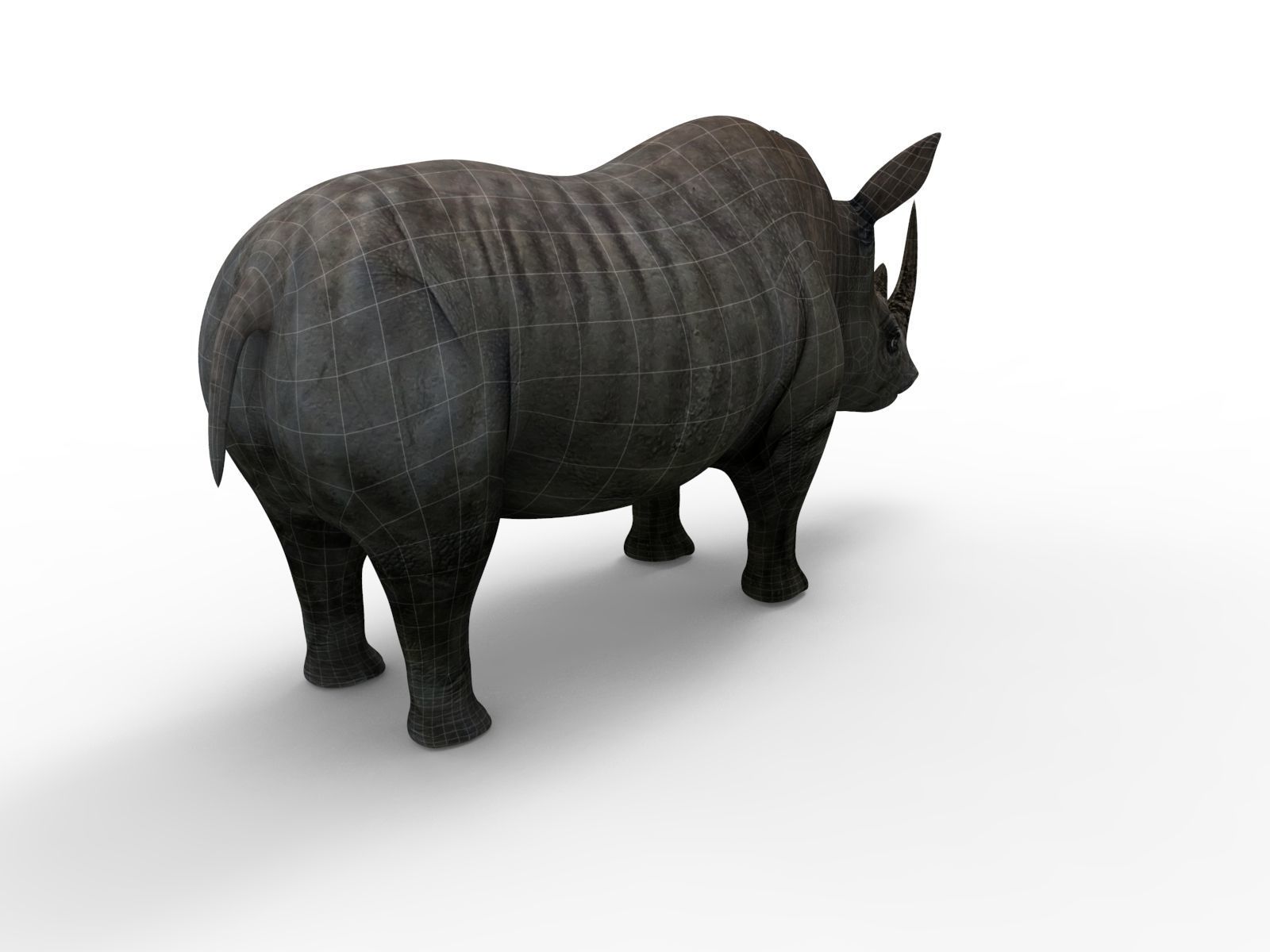 Rhino rigged Animated Rhinoceros realistic 3d Model Low-poly 3D model_12