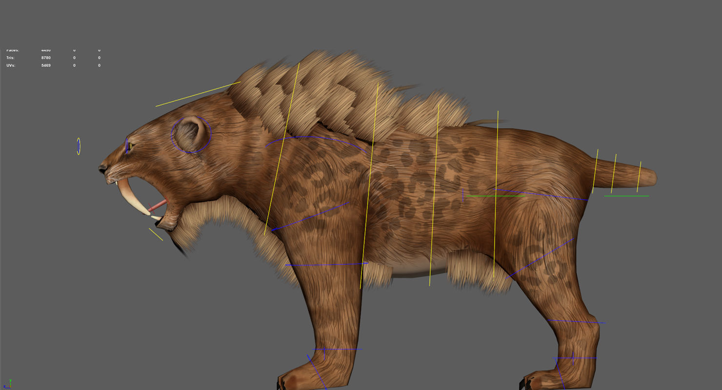 Saber tooth  Low-poly 3D model_13