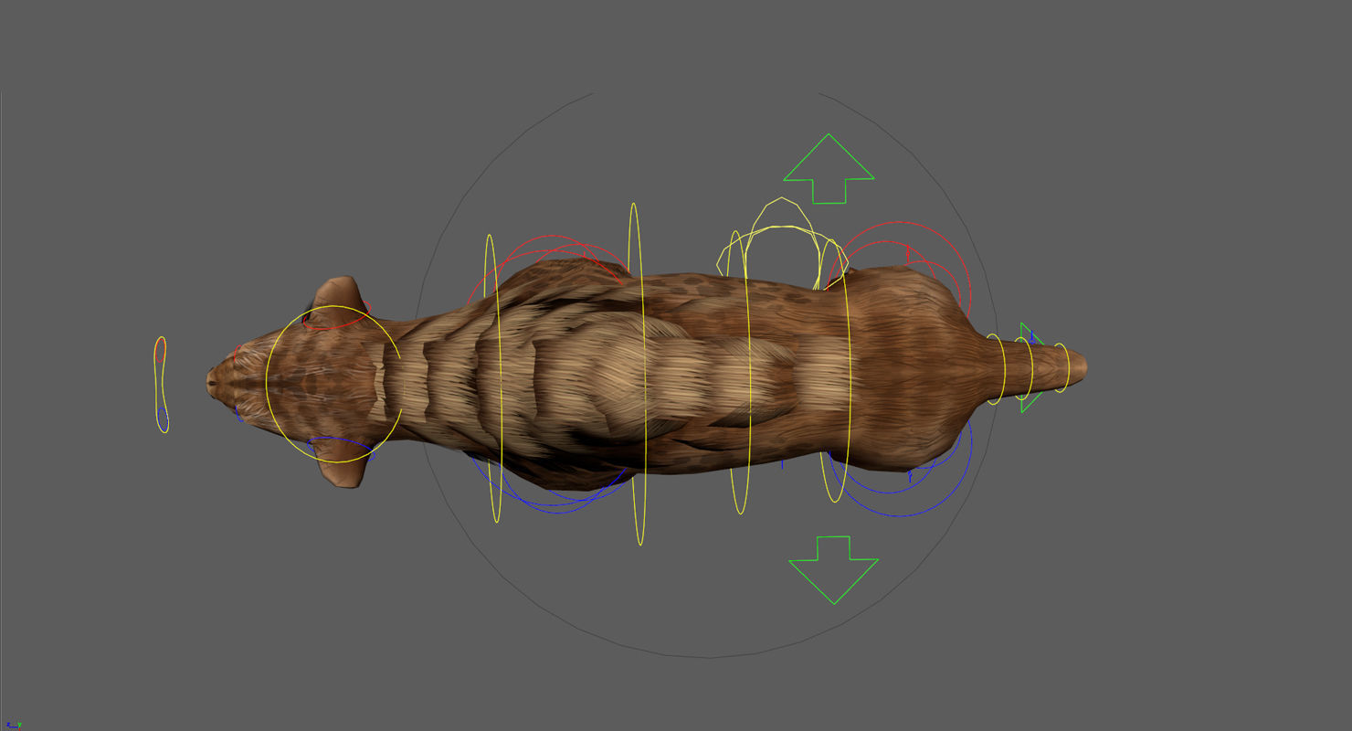 Saber tooth  Low-poly 3D model_8