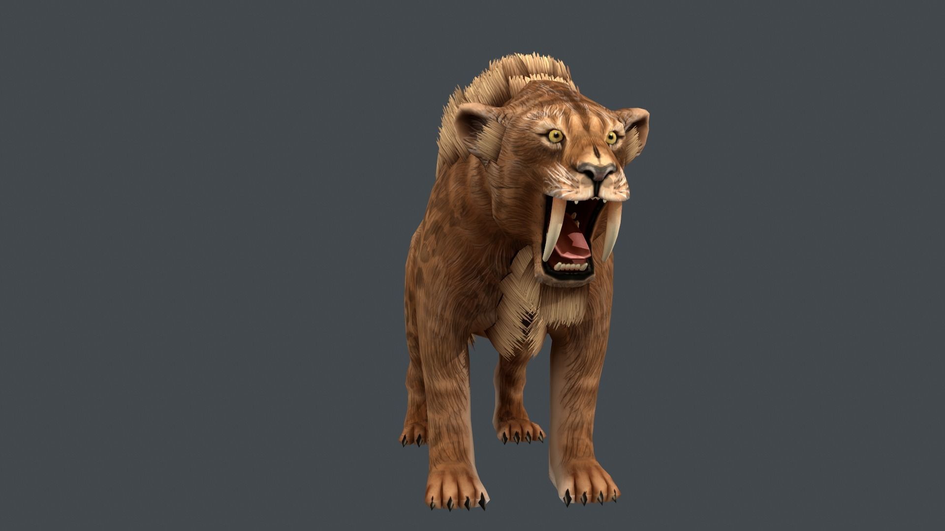 Saber tooth  Low-poly 3D model_4