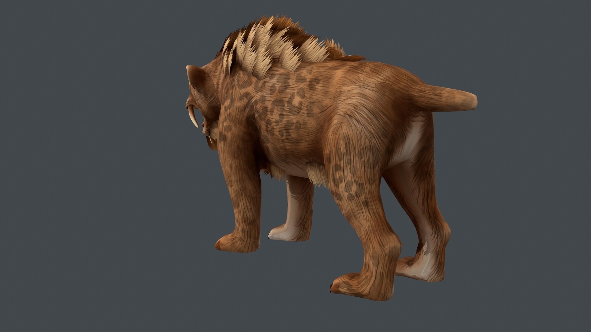 Saber tooth  Low-poly 3D model_5