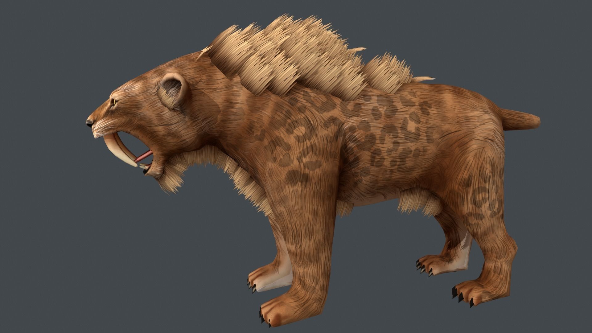 Saber tooth  Low-poly 3D model_3