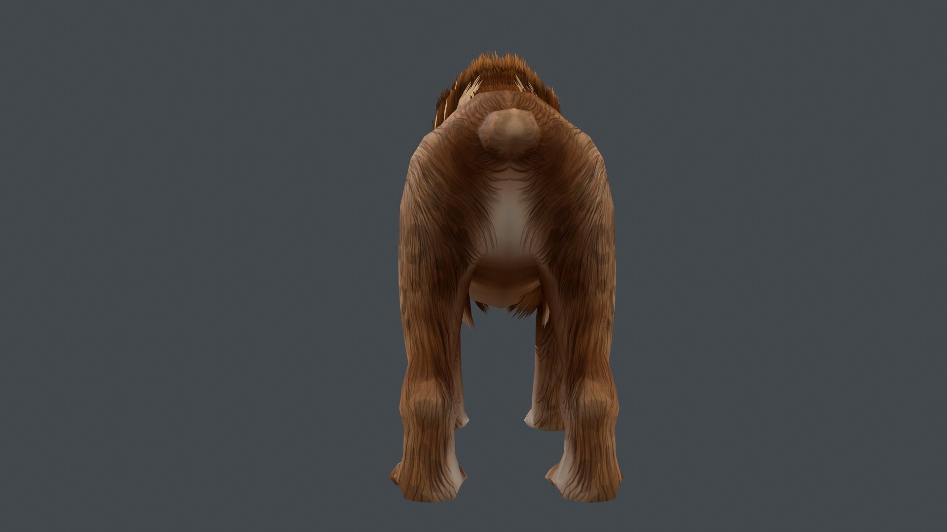 Saber tooth  Low-poly 3D model_7