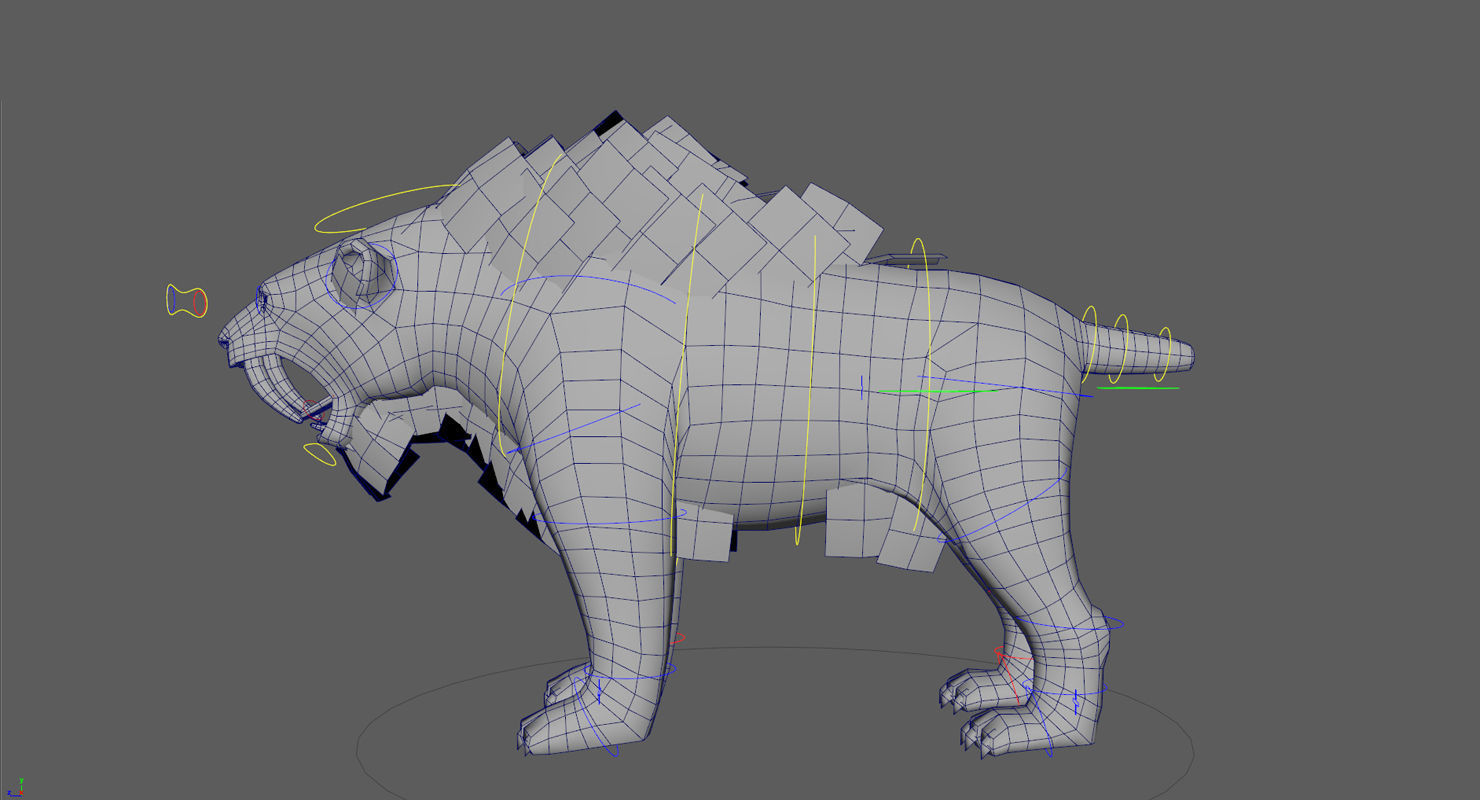 Saber tooth  Low-poly 3D model_15