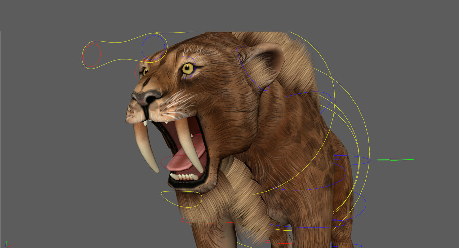 Saber tooth  Low-poly 3D model_9