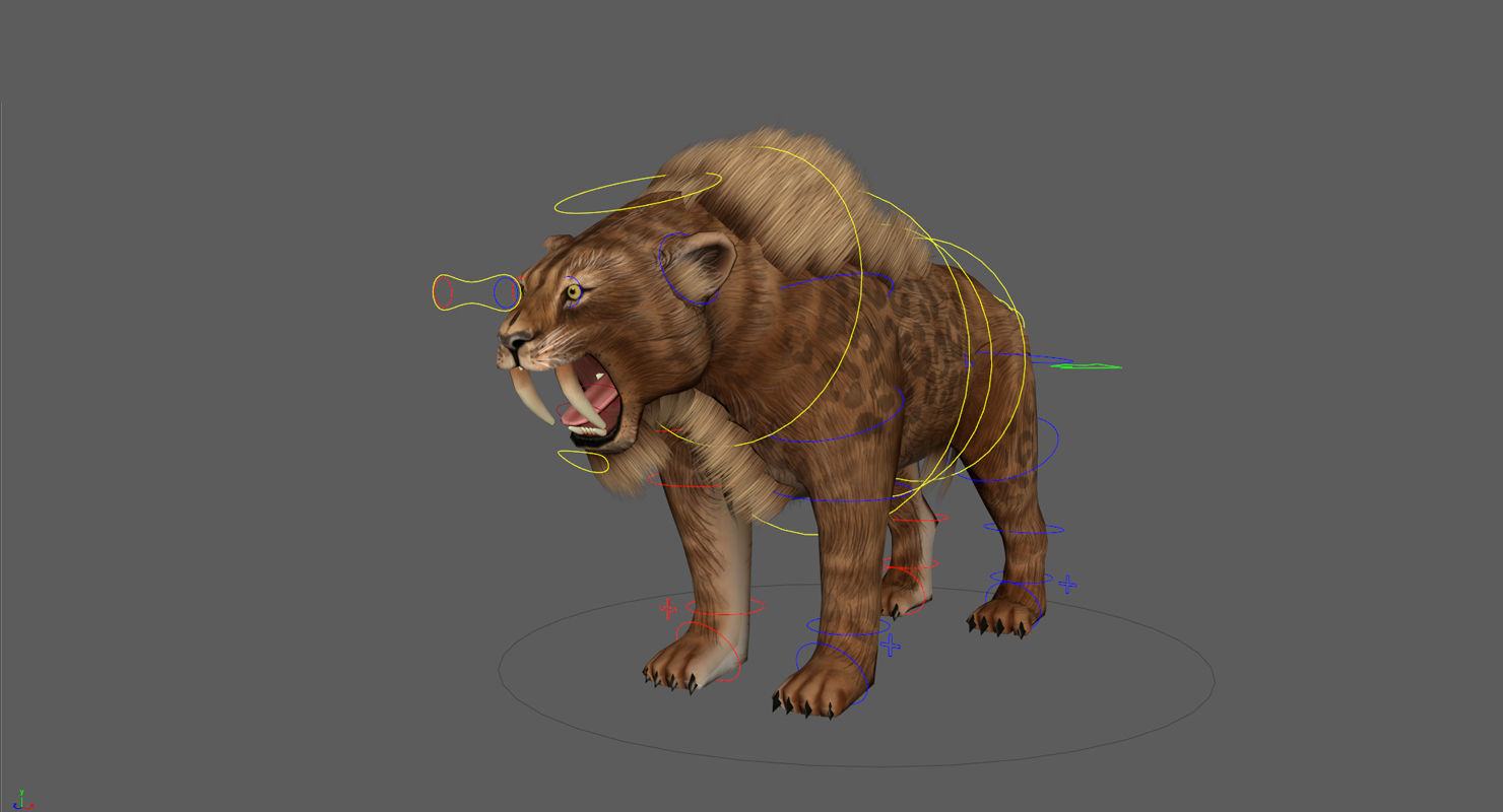 Saber tooth  Low-poly 3D model_10