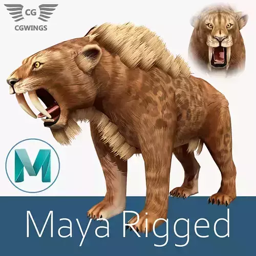 Saber tooth  Low-poly 3D model