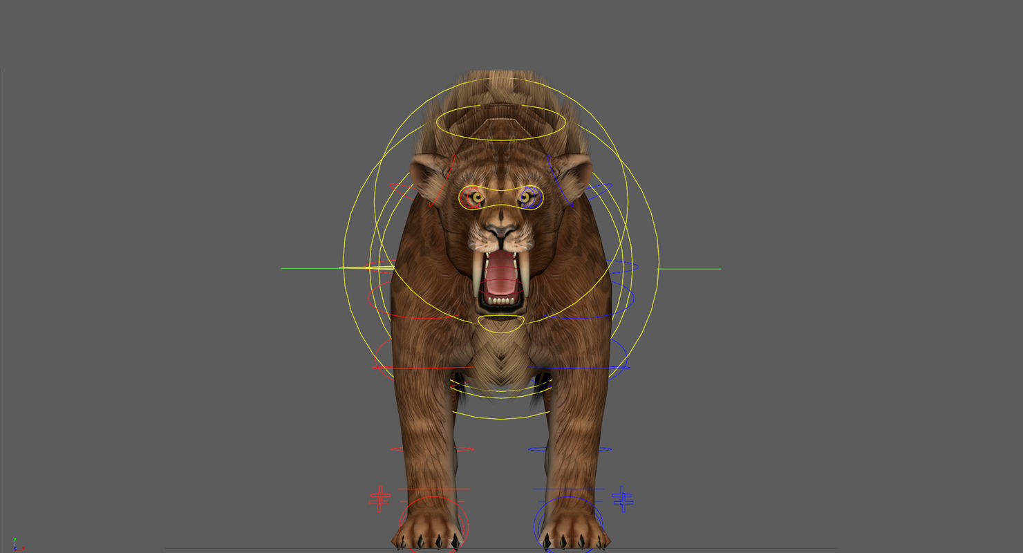Saber tooth  Low-poly 3D model_12
