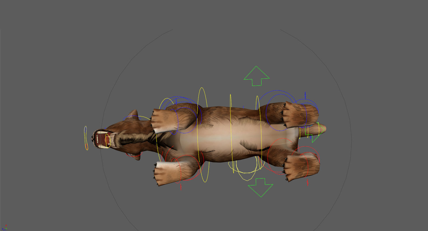 Saber tooth  Low-poly 3D model_11