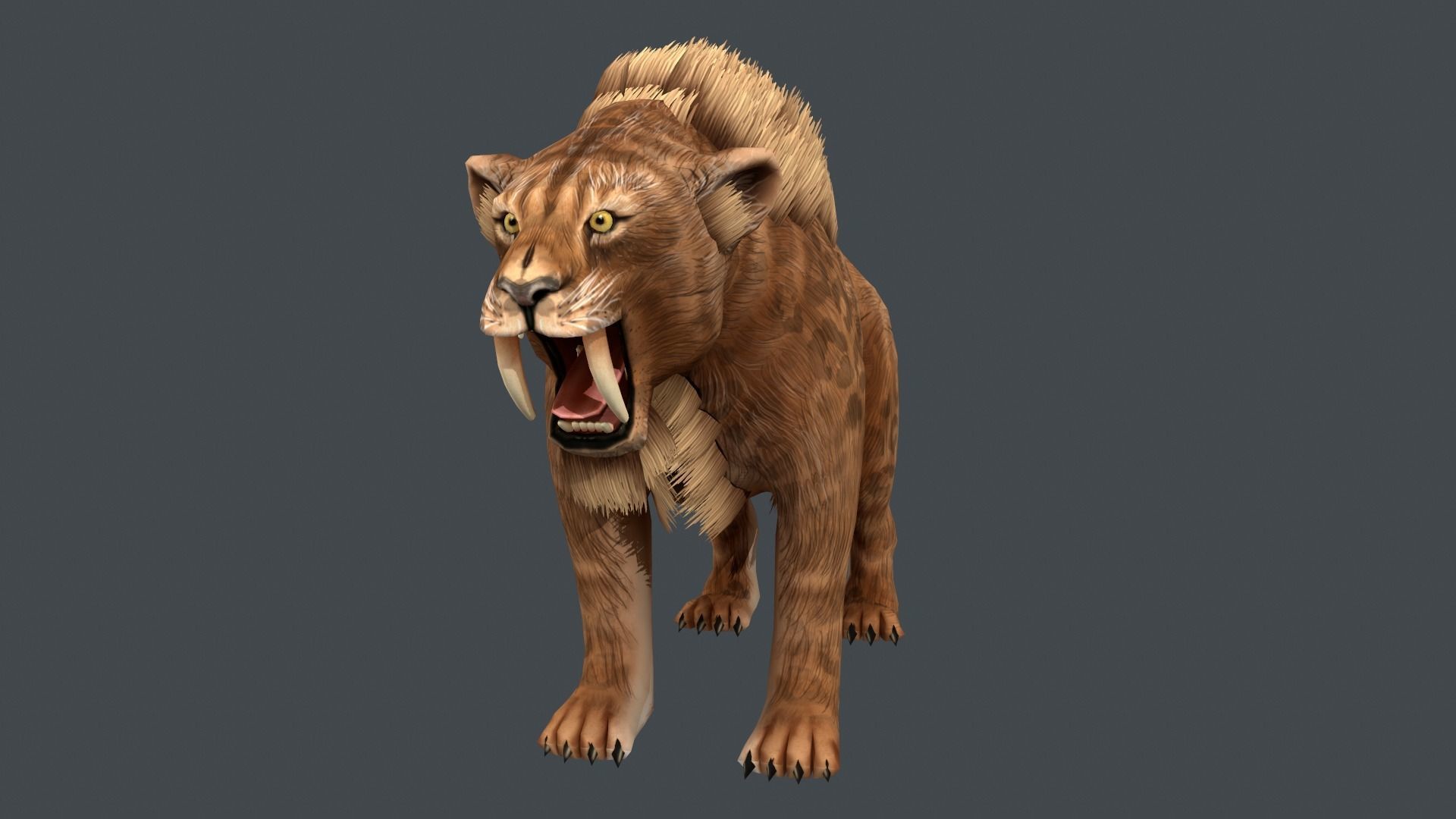 Saber tooth  Low-poly 3D model_2