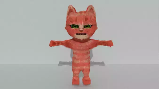 Orange cat