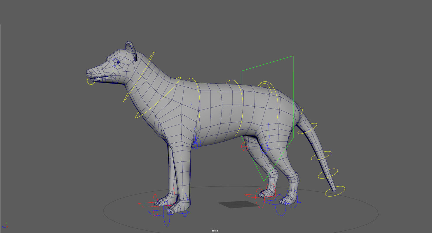 Tasmanian tiger Low-poly 3D model_14