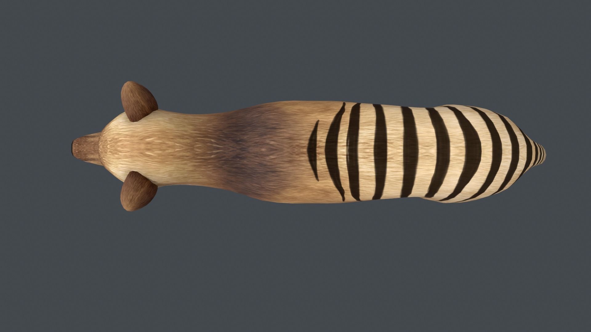 Tasmanian tiger Low-poly 3D model_2