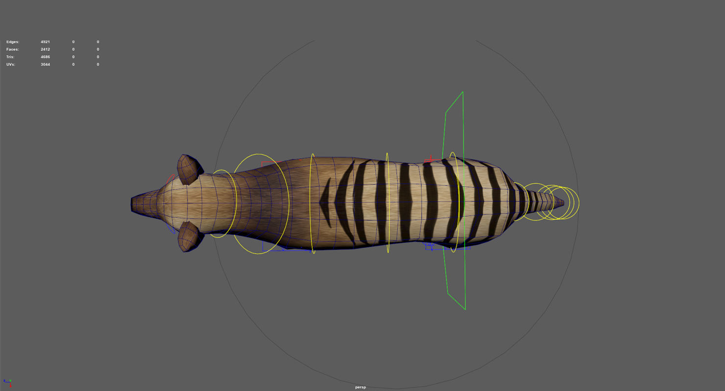 Tasmanian tiger Low-poly 3D model_15