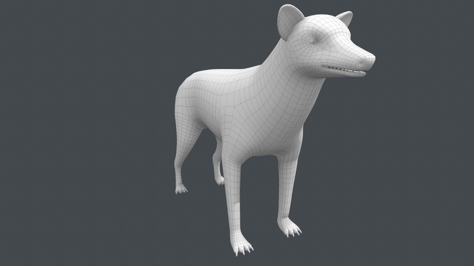 Tasmanian tiger Low-poly 3D model_7